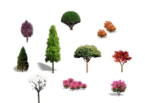 园林景观观花乔木素材设计PSD效果图