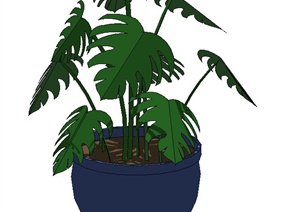10棵室内植物盆景设计SU(草图大师)模型