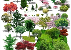 园林景观配景素材乔木、草坪设计PSD效果图