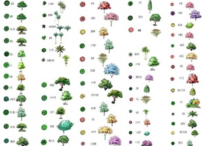 40余款植物树木平面与立面ps素材