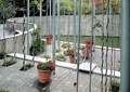 花架,葡萄架,盆栽,围墙