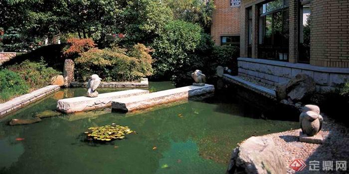 水池景观,水生植物,石雕塑,住宅景观睡莲