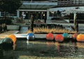 水池景观,小品,彩色圆球