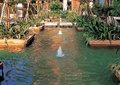 喷泉水池景观,种植池,树池,草本植物,住宅景观