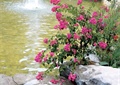 观花植物,景石,喷泉水池景观