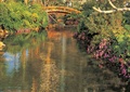河流景观,木拱桥,花卉植物