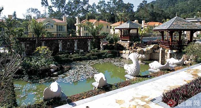 园路,雕塑喷泉,水池景观,亭子,地面铺装,水生植物,住宅景观