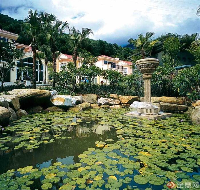 涉水池景观,水生植物,石雕塑,景观柱,景石,景观树,住宅景观槟榔,睡莲