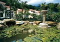 涉水池景观,水生植物,石雕塑,景观柱,景石,景观树,住宅景观
