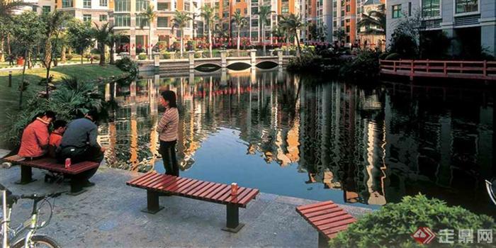 水池水景,坐凳,桥洞棕榈