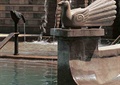 雕塑水景,喷泉水景,孔雀,动物雕塑
