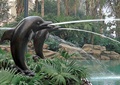 雕塑喷泉,喷泉水景,海豚,景石