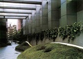植物墙,垂直绿化,草坪