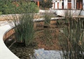 卵石水池,水生植物,水池驳岸,花池