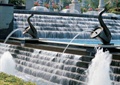 喷泉水池,雕塑水景,叠水景观