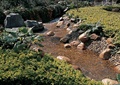 溪流水景,自然石,卵石驳岸,景石,灌木丛