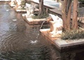 吐水雕塑,树池,水池景观