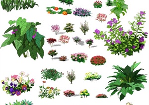 多棵花卉植物素材设计PSD效果图