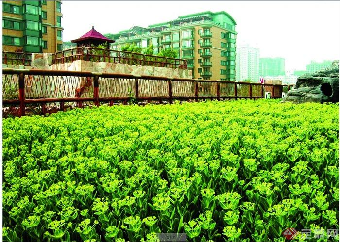 北京某小区景观实景图及彩平图(3)