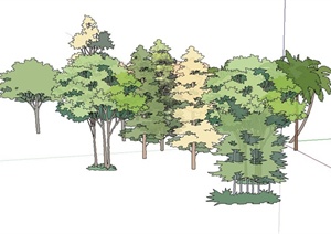 某园林景观乔灌木植物素材SU(草图大师)模型