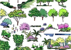 多棵常绿乔木设计PSD图