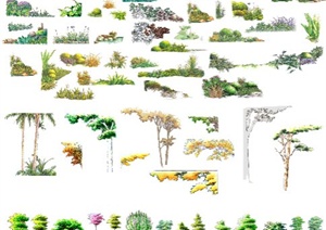 园林景观乔木、花卉等设计PSD素材
