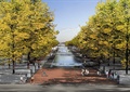 树池坐凳,水池水景,树池平台,地面铺装,广场效果图