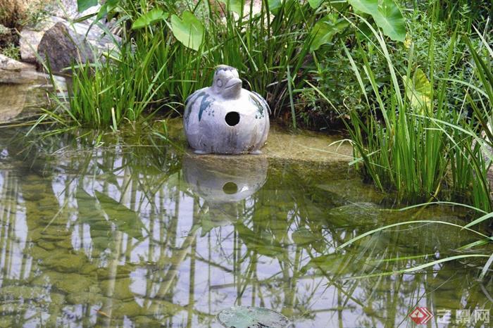 卵石水池景观,小品,水生植物