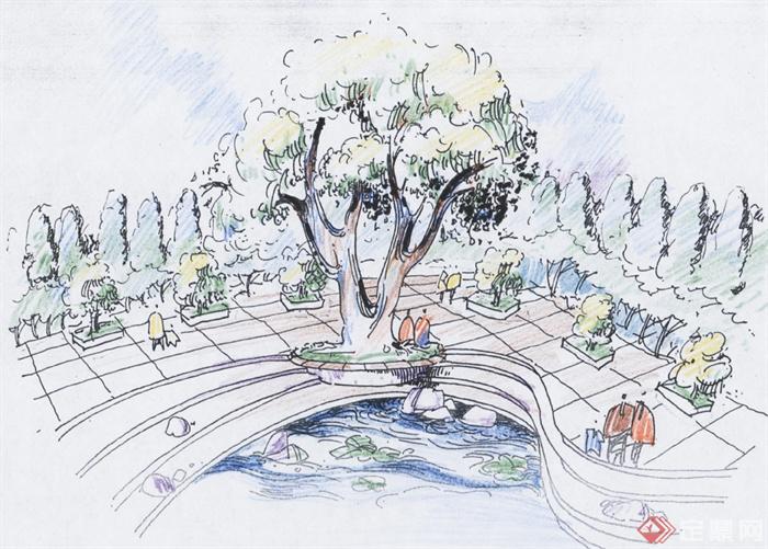 公园景观,水池水景,手绘效果图,树池