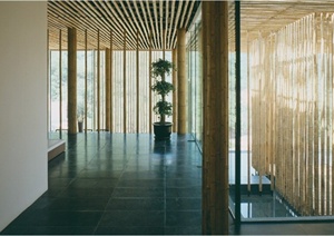 某木质山体住宅建筑设计JPG实景图