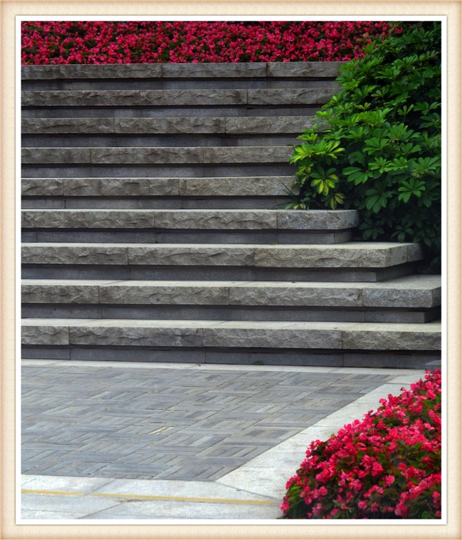 台阶踏步,地面铺装,花池,花卉植物
