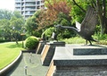天鹅雕塑,喷泉水池景观,草坪,景观树,住宅景观