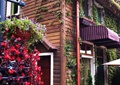 小木屋,植物墙,垂直绿化,遮雨棚,矮墙