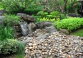 卵石水沟,自然石,景石,乔木植物