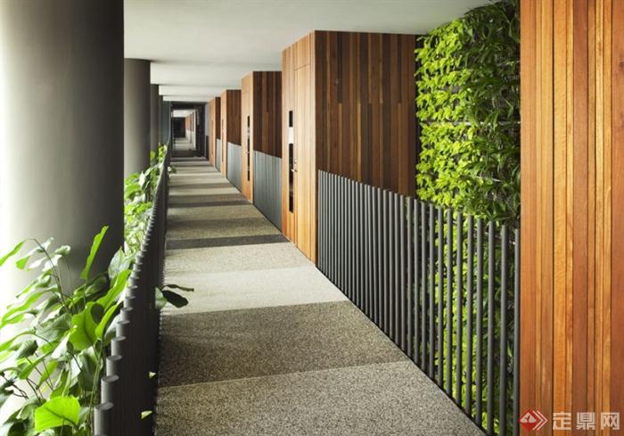 走廊,铁艺栏杆,地面铺装,垂直绿化,酒店景观