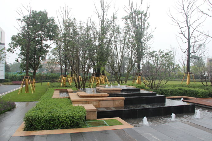 喷泉水池景观,台阶水景,地面铺装,花池,景观树,住宅景观