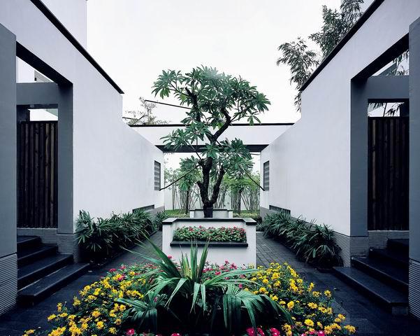庭院,树池,花池,围墙