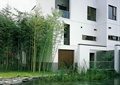 水池景观,竹子,水生植物,草坪,景石,住宅建筑,住宅景观