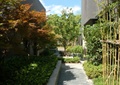 园路,矮墙,花台,景观树,竹子,住宅景观