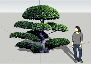 园林景观云片植物素材设计SU(草图大师)模型
