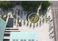 广场,公共绿化,种植池