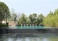 景观水池,泳池,树池,矮墙