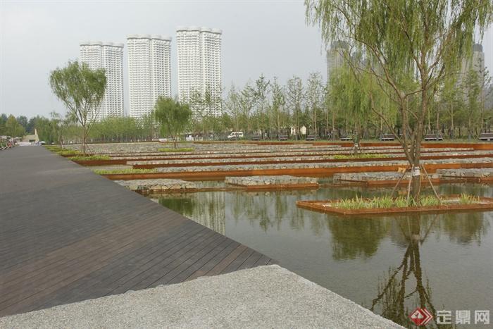 景观水池,木板铺装柳树