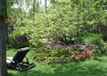 乔木,草坪,躺椅,植物造景