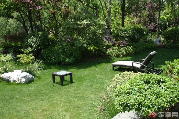 草坪,石头,躺椅,乔木,庭院黄连翘