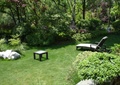 草坪,石头,躺椅,乔木,庭院