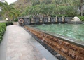 水池水景,卵石铺装,喷泉水景,乌龟雕塑