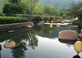 路灯,树池,水池水景,自然石