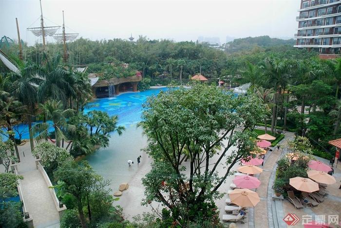 泳池景观,园桥,遮阳伞,乔木棕榈,棕树