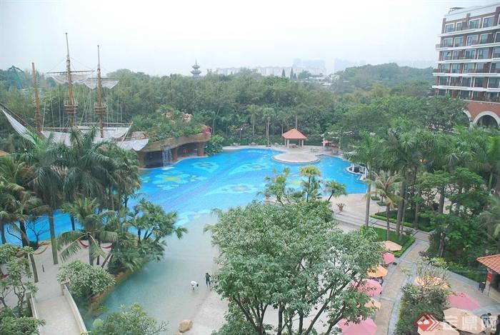 泳池景观,乔木,遮阳伞棕榈,棕树